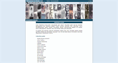 Desktop Screenshot of irakurketagidak.gipuzkoakultura.net